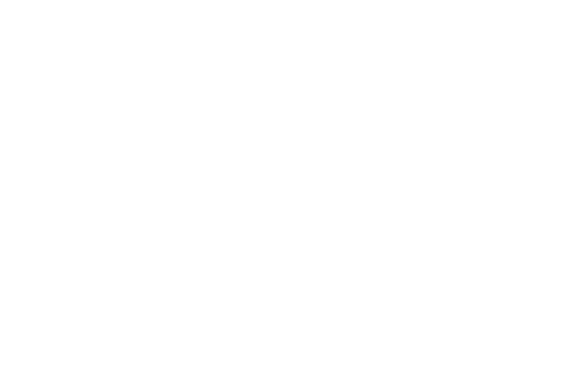 Blade Service logo